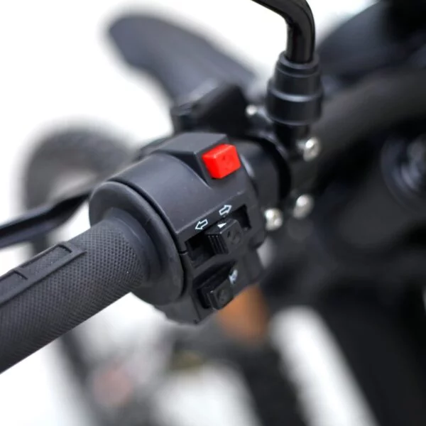 Light Bee L1E Eco/Sport Switch Light Indicators - Image 3